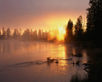 Oregon Deschutes National Forest Poster Print by John Barger