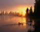 Oregon Deschutes National Forest Poster Print by John Barger