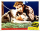 Son Of Lassie Photo Print - Available in Multiple Sizes