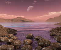 Artist's Concept of Archean Stromatolites Fine Art Print