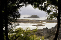 Coastal Scene Fine Art Print - Tofino, British Columbia