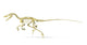 3D Velociraptor Dinosaur Skeleton Fine Art Print - Side View