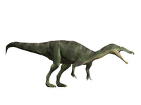 Baryonyx walkeri Fine Art Print - Early Cretaceous of England