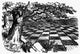 Carroll: Chess-Board Land Fine Art Print After Sir John Tenniel