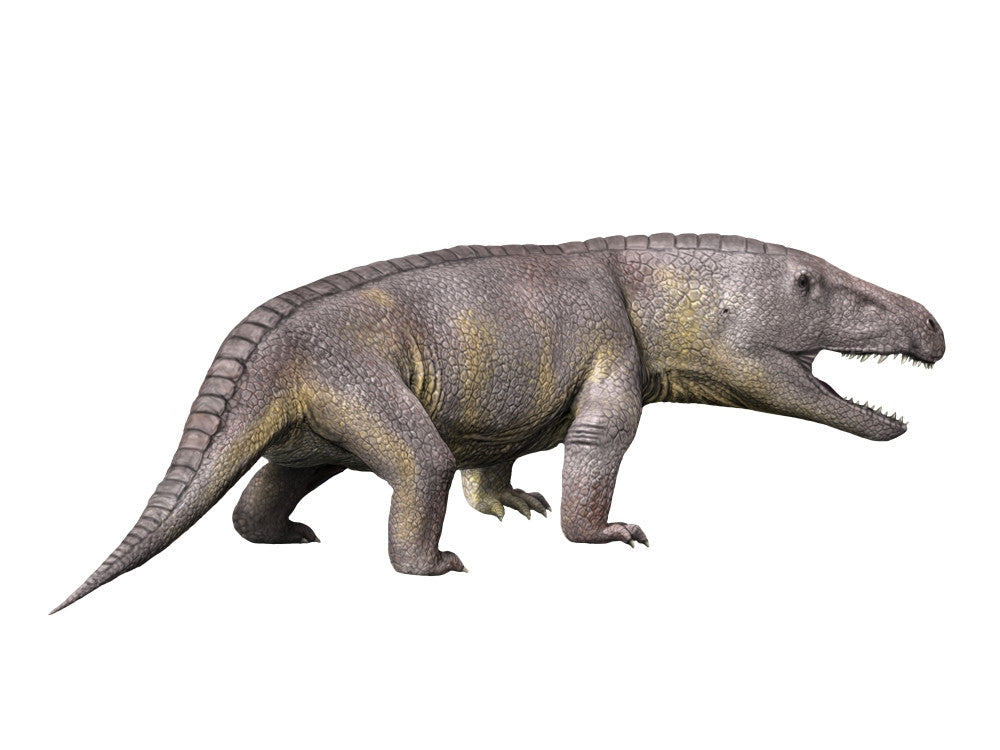 Erythrosuchus Fine Art Print by Nobumichi Tamura | Posterazzi