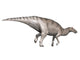 Edmontosaurus Dinosaur Poster Print on White Background