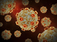 Conceptual Zika Virus Fine Art Print - Multiple Sizes Available
