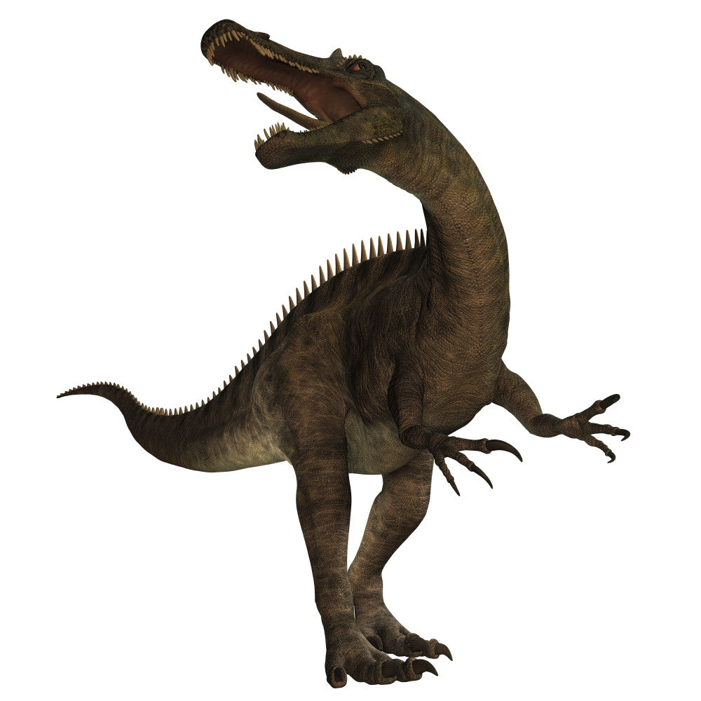 Suchomimus Fine Art Print - A Large Spinosaurid Dinosaur