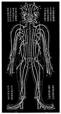 Chinese Acupuncture Chart Fine Art Print by Granger Collection