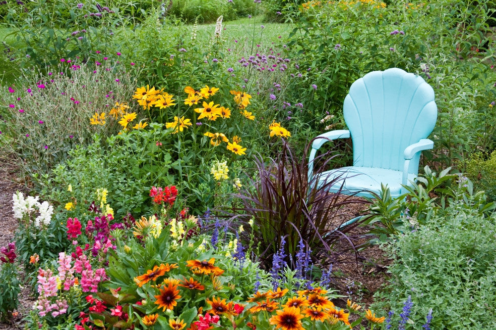 Blue Chair Surrounded by Flowers in Marion County Garden Fine Art Print