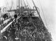 Immigrant Ship in New York Harbor - Fine Art Print by Granger Collection