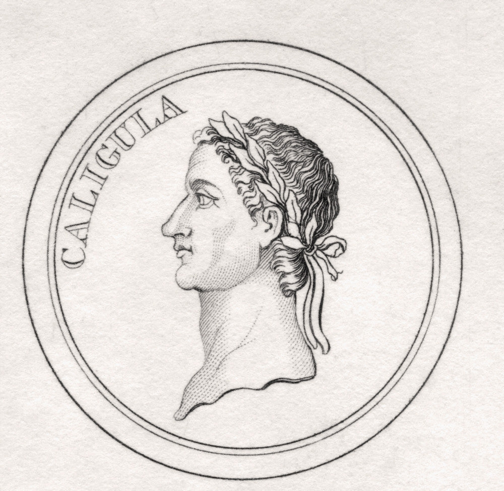 Caligula Fine Art Print - Historical Roman Emperor | Posterazzi