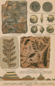 Geology and Paleontology 1886 Fine Art Print by Science Source