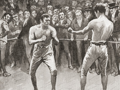 Boxer Art