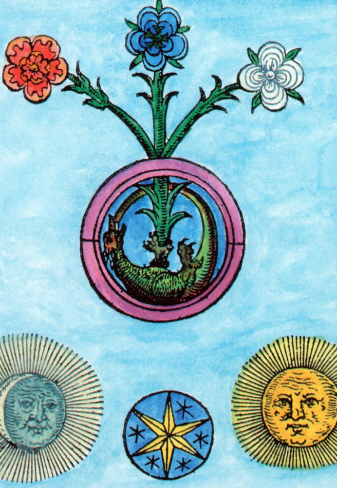 Alchemy Illustration Fine Art Print by Science Source