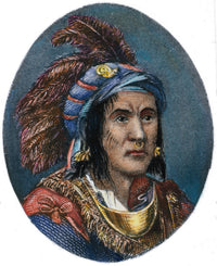 Chief Pontiac Fine Art Print - Nottawa Native American Chief by Granger Collection