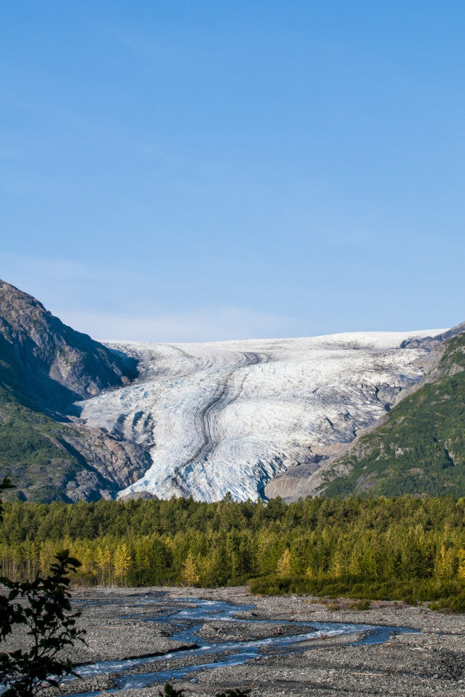 Exit Glacier Fine Art Print by Michael DeFreitas | Kenai Fjords National Park