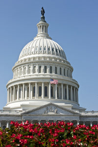 The United States Capitol Dome and Statue Poster Print