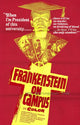Doctor Frankenstein on Campus Movie Poster Print (27x40)