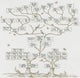 Guggenheim Family Tree Fine Art Print by Science Source