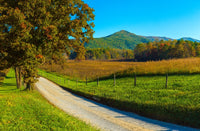 Dirt Road Through a Field at Hyatt Lane, Cades Cove Poster Print
