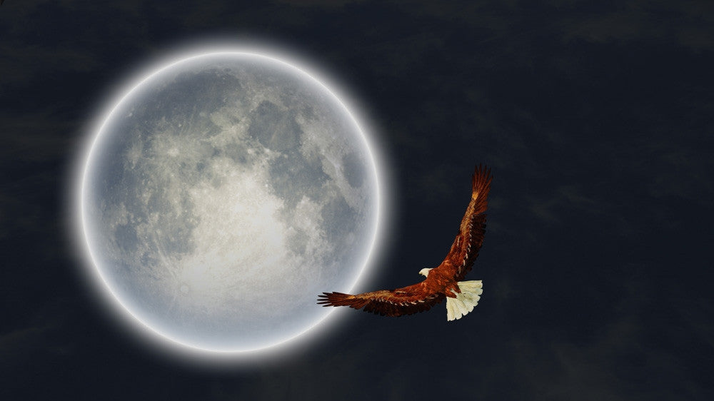 Surreal Full Moon Eagle Poster Print by Bruce Rolff | Stocktrek Images