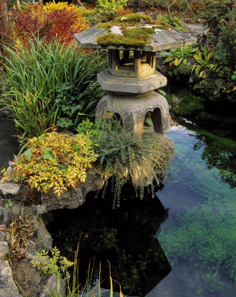 Tully Japanese Gardens Japanese Lantern Poster Print by The Irish Image Collection