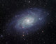 The Triangulum Galaxy Fine Art Print by Phillip Jones