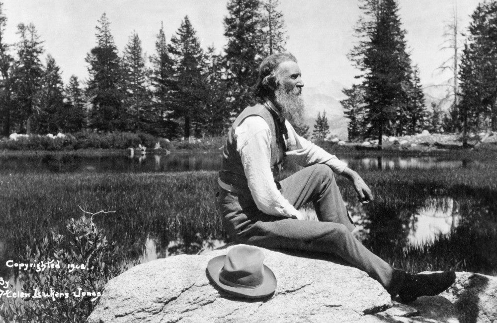 John Muir Fine Art Print - C1908 Photograph by Granger Collection