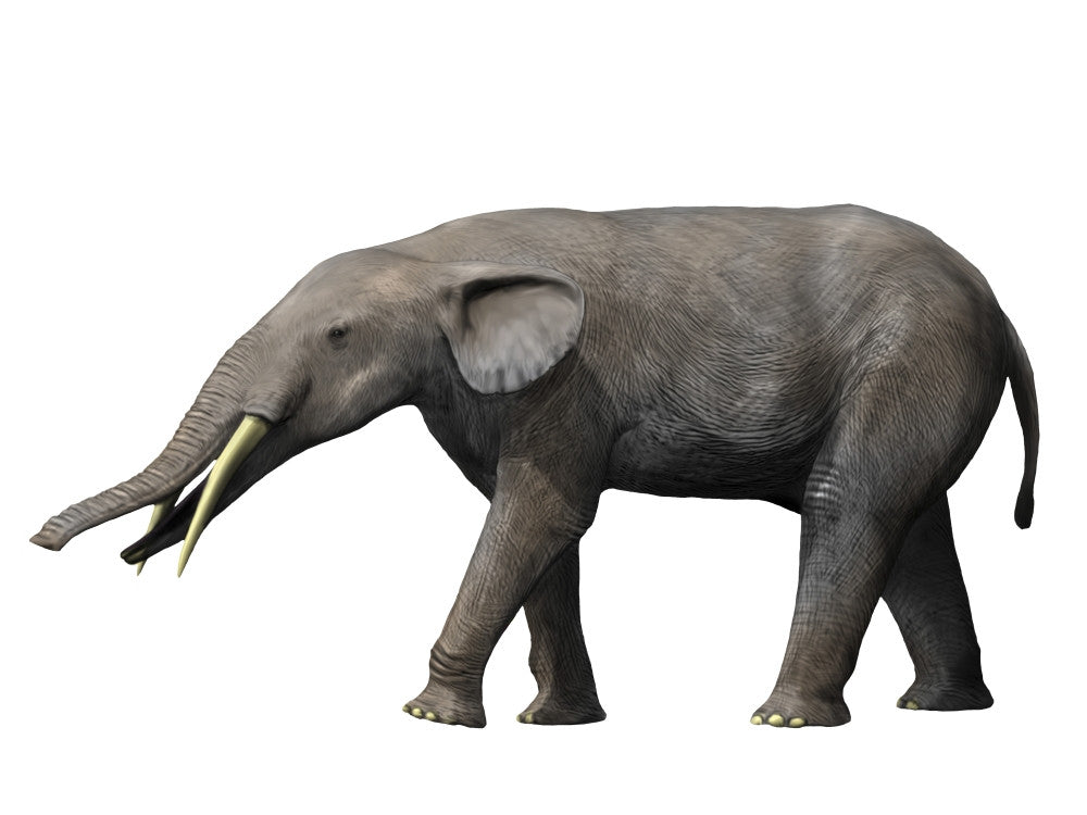 Gomphotherium angustidens Fine Art Print by Nobumichi Tamura