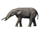 Gomphotherium angustidens Fine Art Print by Nobumichi Tamura
