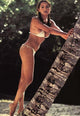 Barbara Carrera Tree Photo Print - Available in Multiple Sizes