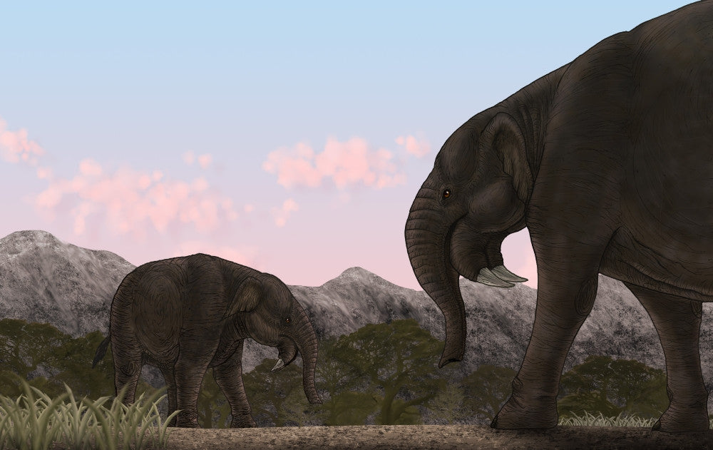 Two Deinotherium Miocene Epoch Poster Print - Fine Art