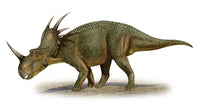 Styracosaurus albertensis Fine Art Print - Cretaceous Dinosaur
