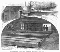 Long Island Fish Hatchery Wood Engraving Art Print (1883) by Granger Collection