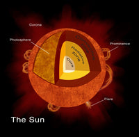 Structure of the Sun Illustration Print by Spencer Sutton | Science Source