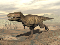 Tyrannosaurus Rex Dinosaur Running Across Rocky Terrain Poster Print
