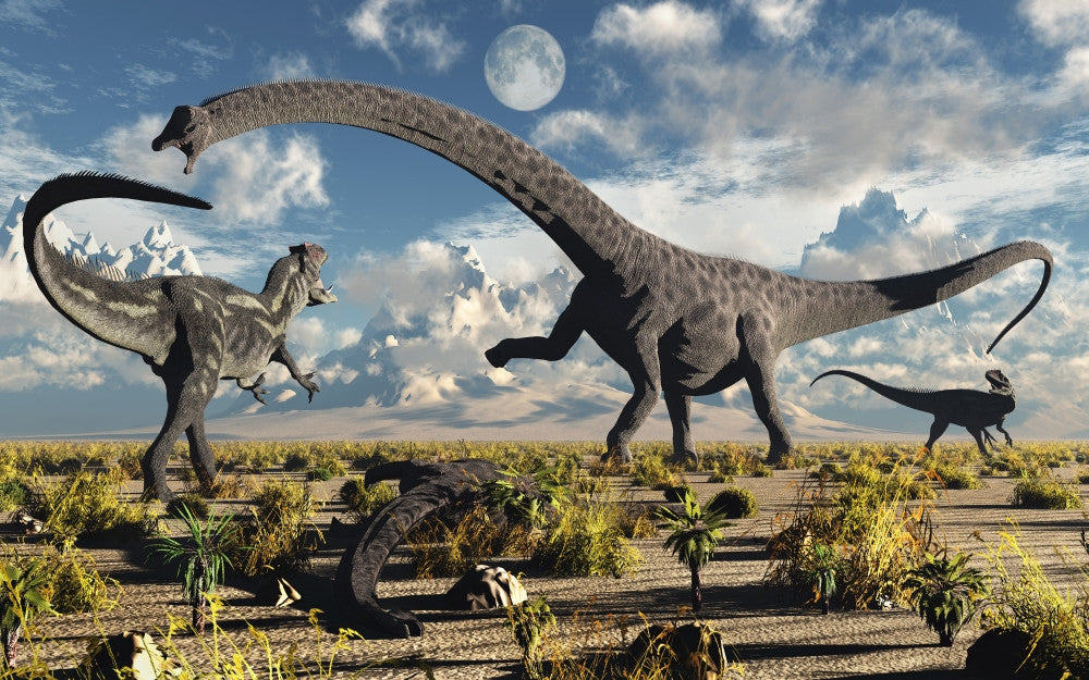 Diplodocus vs Allosaurus Dinosaur Art Print | Posterazzi