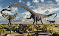 Diplodocus vs Allosaurus Dinosaur Art Print | Posterazzi