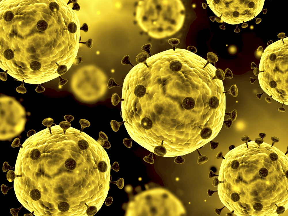 Microscopic View of Coronavirus Fine Art Print | Posterazzi