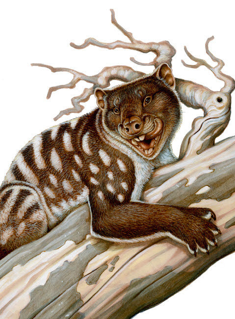 Thylacoleo: The Pleistocene Marsupial Lion Fine Art Print by H. Kyoht Luterman