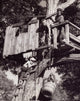 Whimsical Art Print of a Boy and Dog in a Treehouse Bucket
