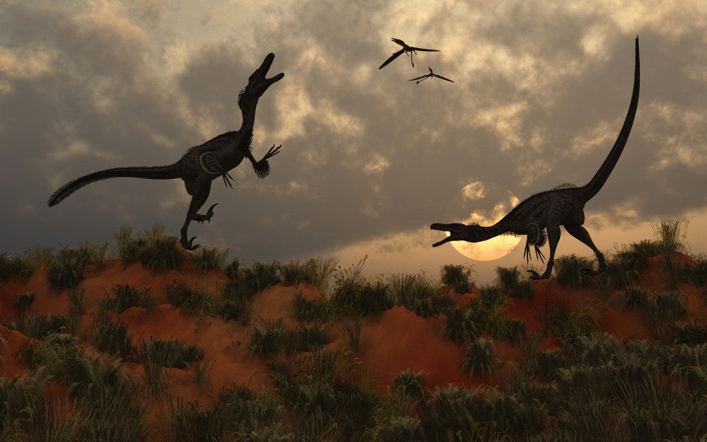 Territorial Dispute Between Velociraptors Fine Art Print