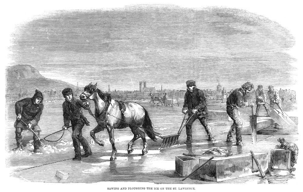 Ice Harvesting Wood Engraving Print from 1859 | Granger Collection