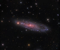 NGC 247 Galaxy in Cetus Fine Art Print by Michael Miller