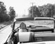 Dog Driving a Convertible Car Poster Print - Item # VARSAL25523187