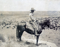 Texas Cowboy on Horseback Overlooking Cattle Herd - Poster Print