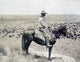 Texas Cowboy on Horseback Overlooking Cattle Herd - Poster Print