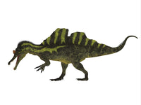 Ichthyovenator Dinosaur Fine Art Print by Corey Ford | Posterazzi