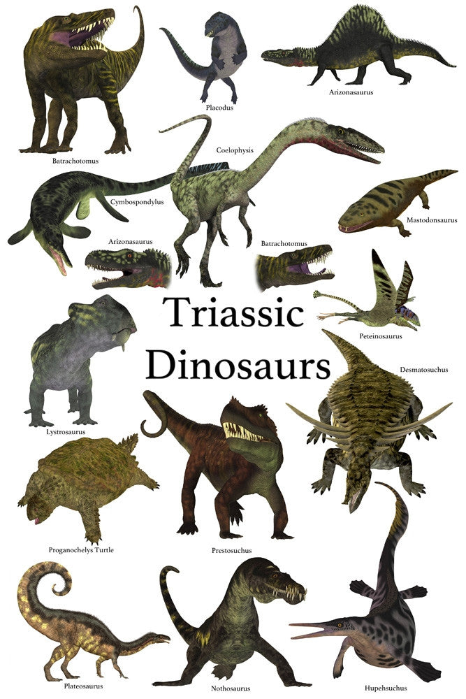 Prehistoric Dinosaurs and Reptiles Triassic Period Print by Corey Ford